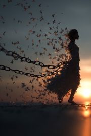 Letting Go and Learning